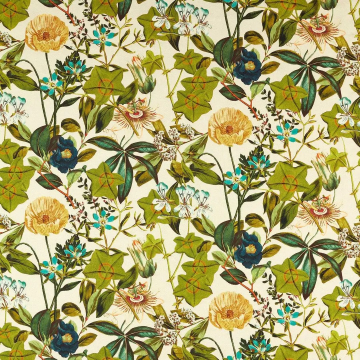 Passiflora denim outdoor
