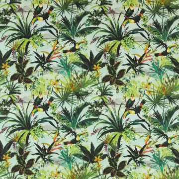 Toucan outdoor sky